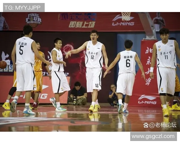 南京篮球队团队协作引发热议球迷对战术配合与球员表现分歧明显