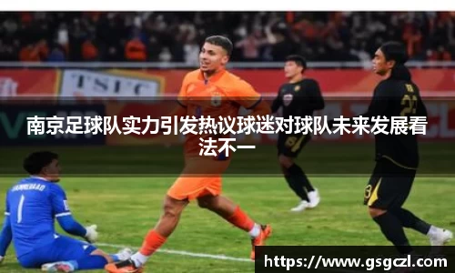 南京足球队实力引发热议球迷对球队未来发展看法不一