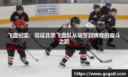 飞盘纪实：见证北京飞盘队从萌芽到辉煌的奋斗之路